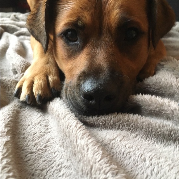 Meet your Posher, Emily - Picture 1 of 1